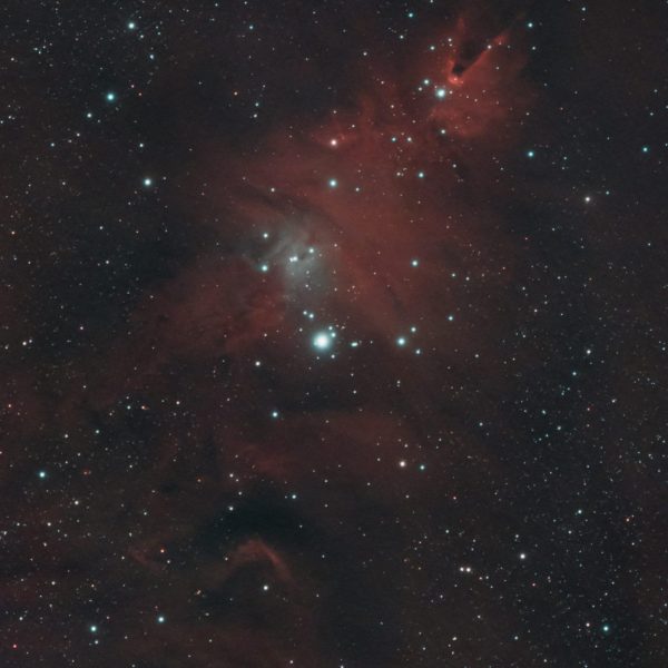 The Christmas Tree Cluster plus Cone Nebula