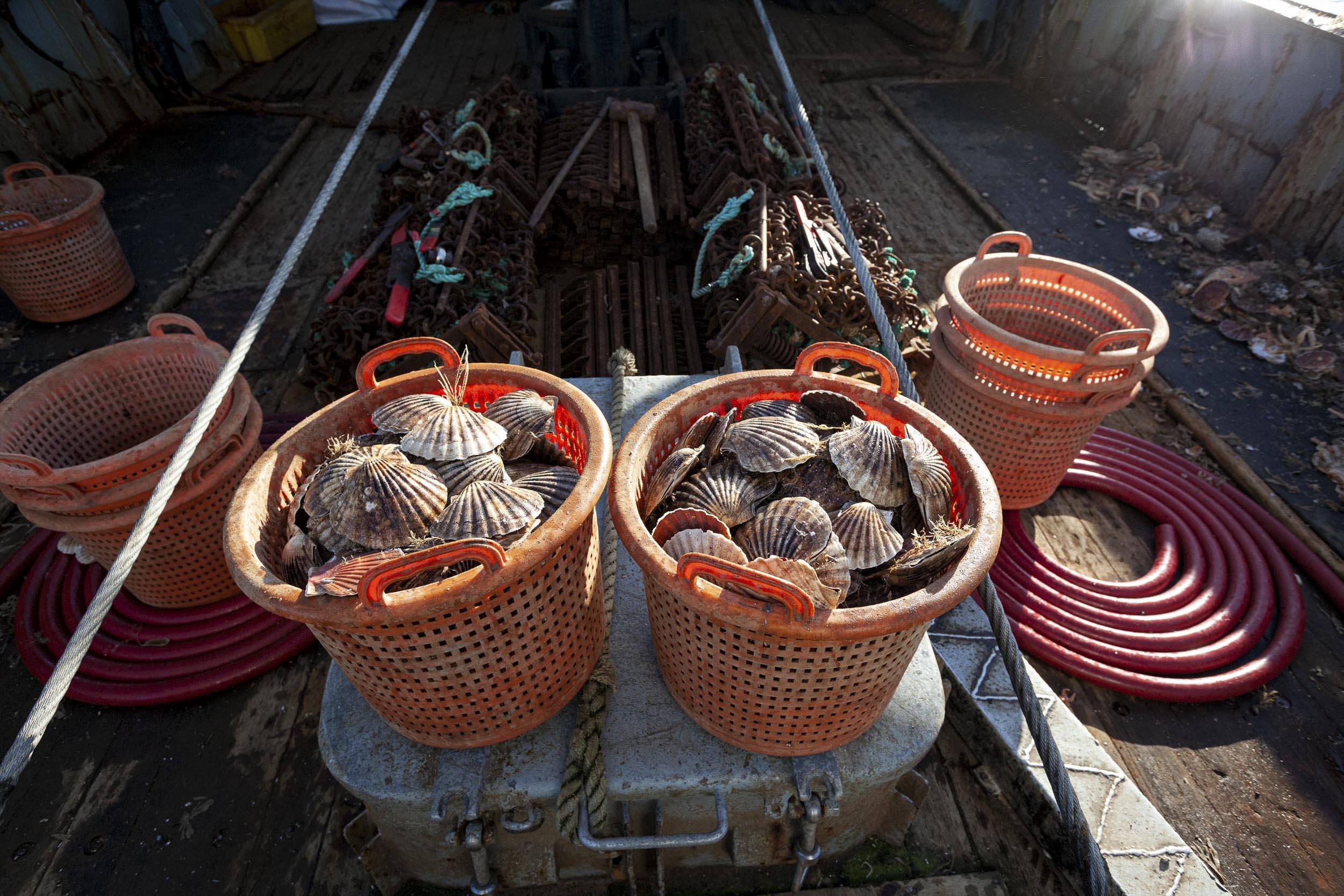 Buckets full of scallops sitting on a fishing trawler. Many other containers and nets are scattered around.