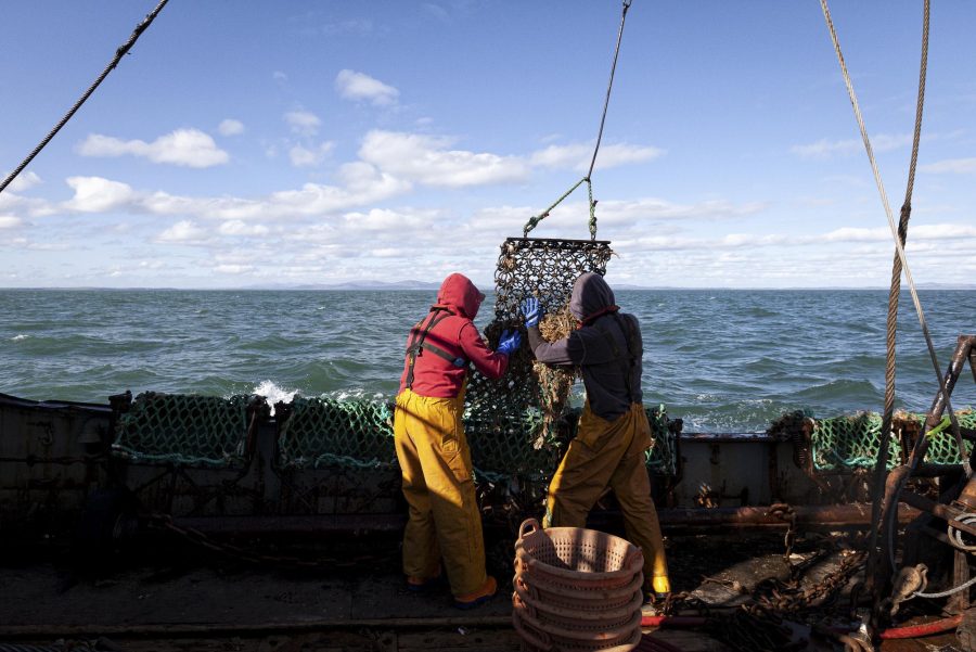 Two fisherman pulling in the scallop dredger on a trawler out at sea.