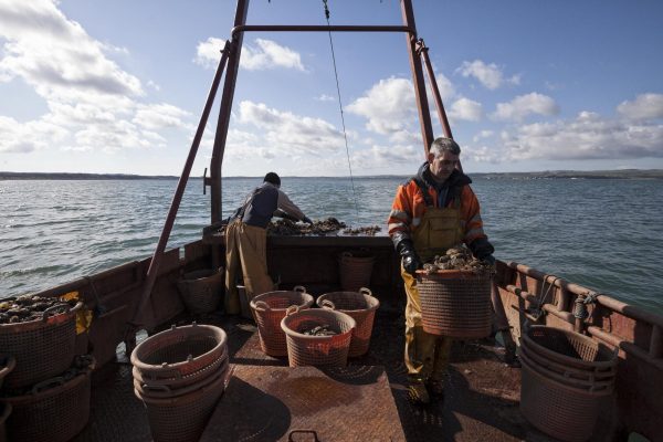 Two fishermen are sorting through the days catch on a fishing vessel out at sea.