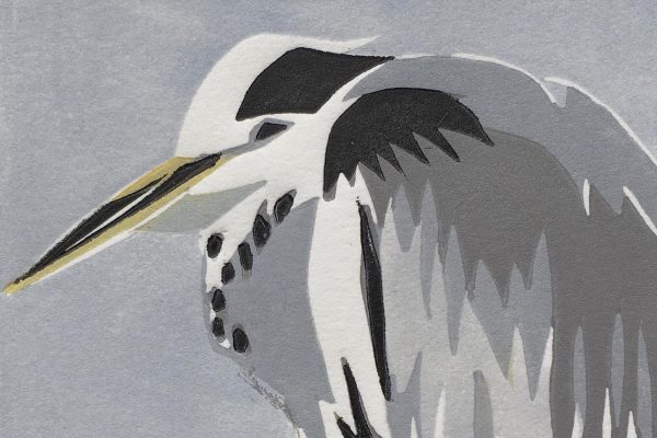 Illustration of a grey heron by Lisa Hooper.