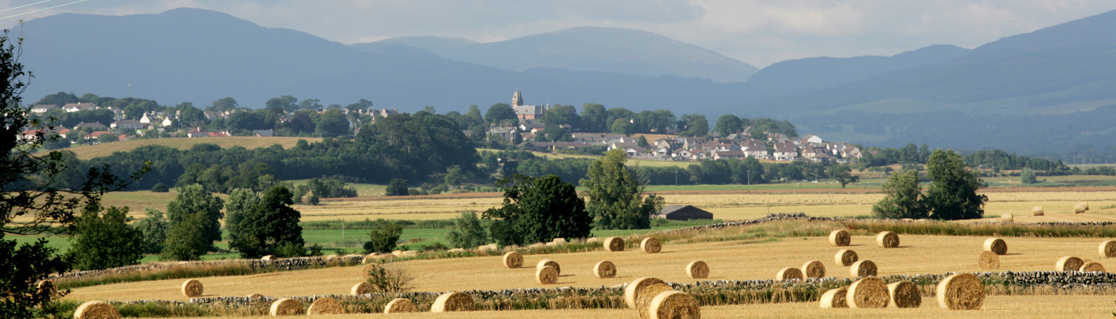 A view of Wigtown taken from afar. Golden yellow fields contain rolled bales of hay. Trees, hedgerows and the Galloway Hills in the distance.