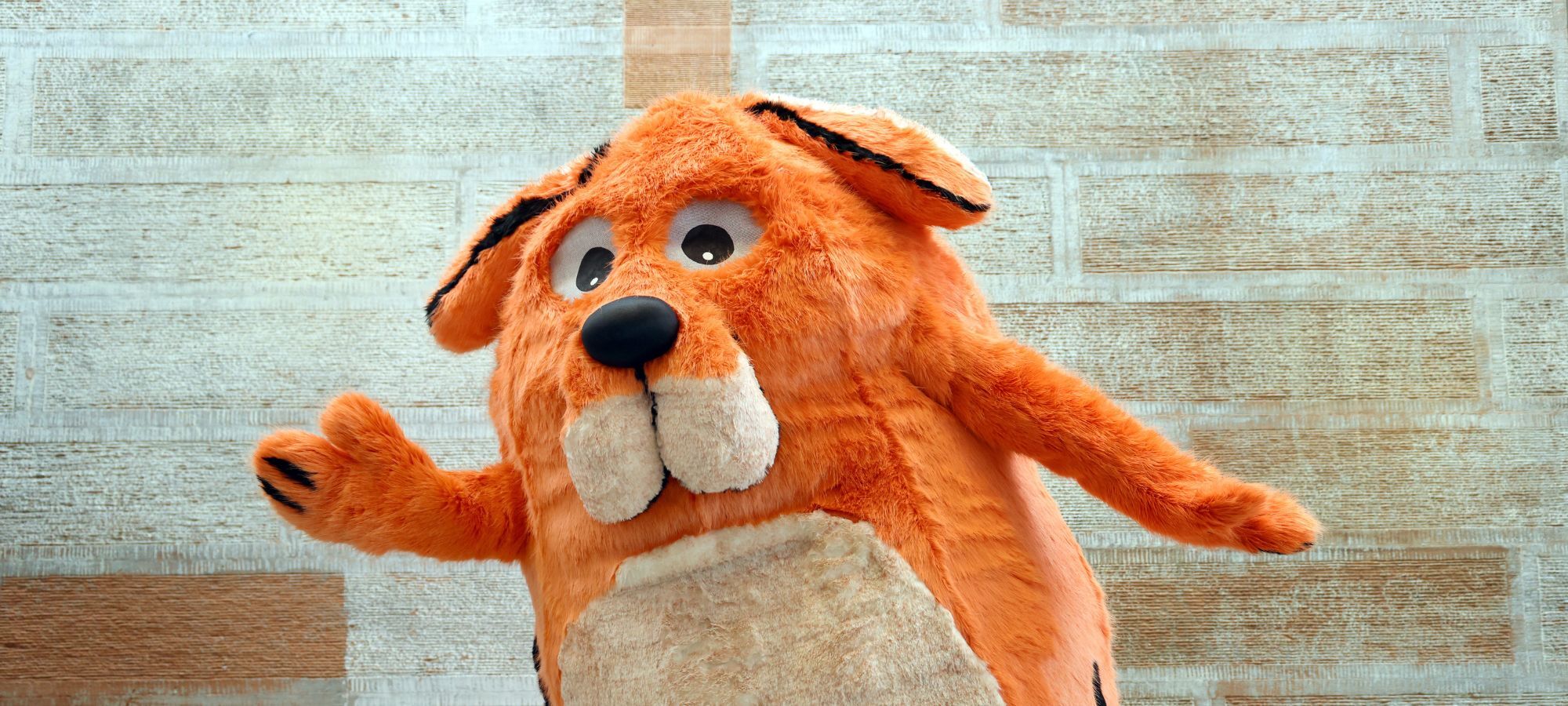 Portrait of Big DoG, a large orange dog mascot with floppy ears.